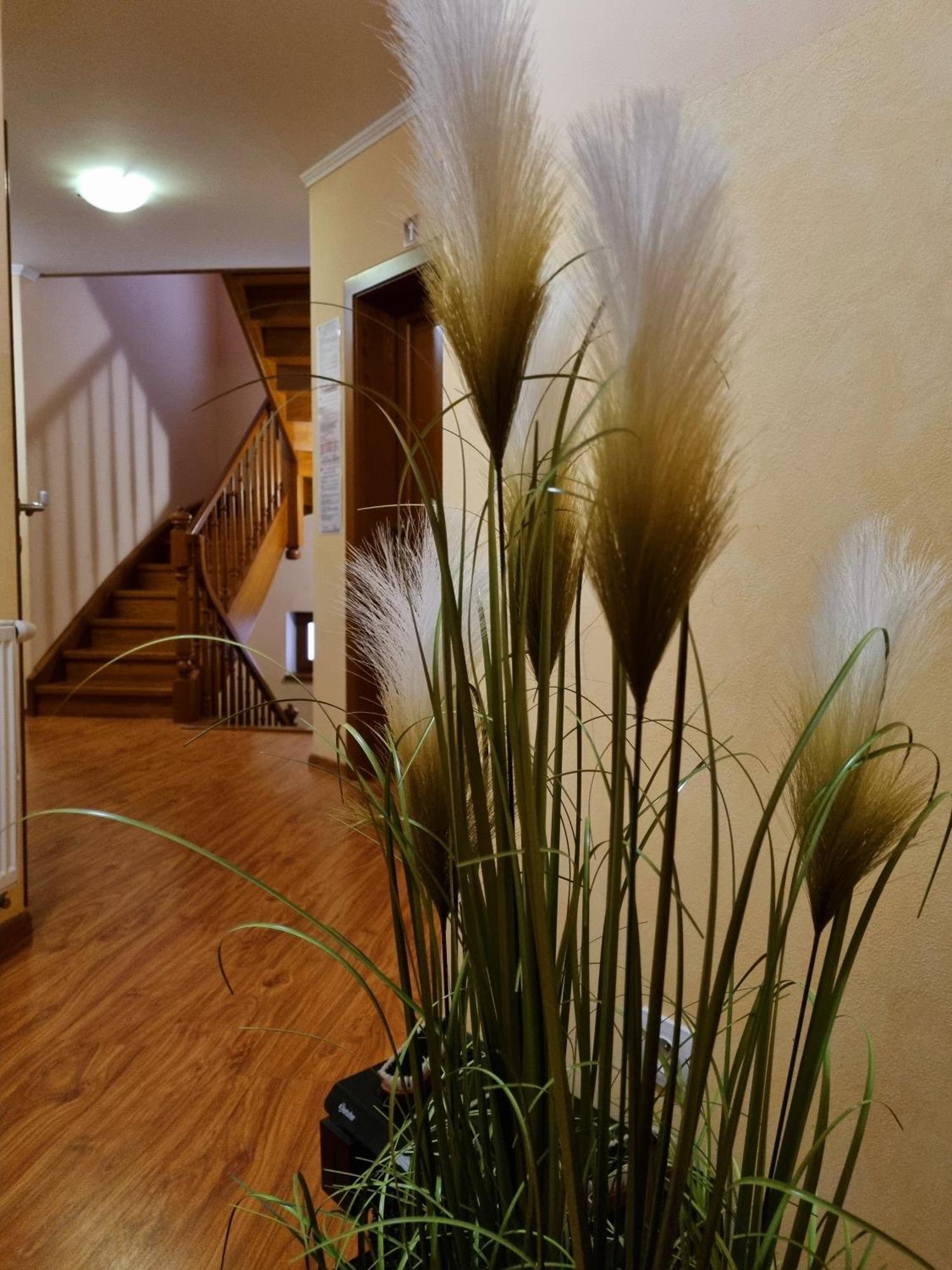 B&B Penzion Magura Bardejów Zewnętrze zdjęcie